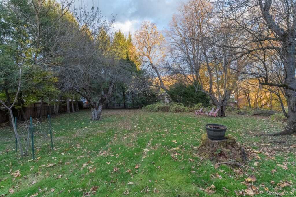 156 Hunter Street, Kingston, NY 12401 - Photo 38 of 49