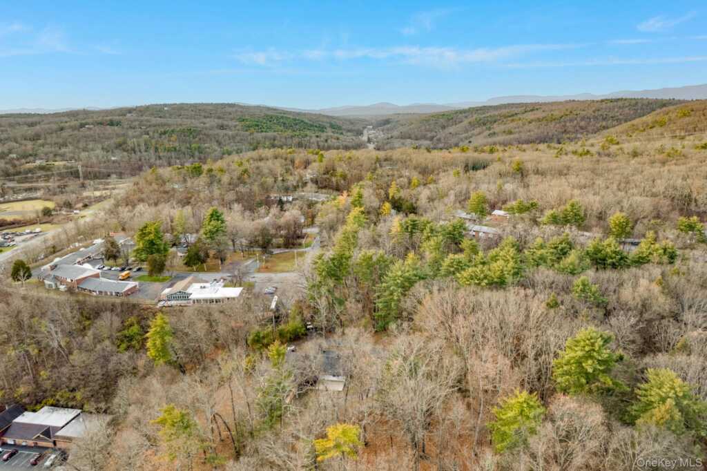 233 Forest Hill Drive, Kingston, NY 12401 - Photo 30 of 34