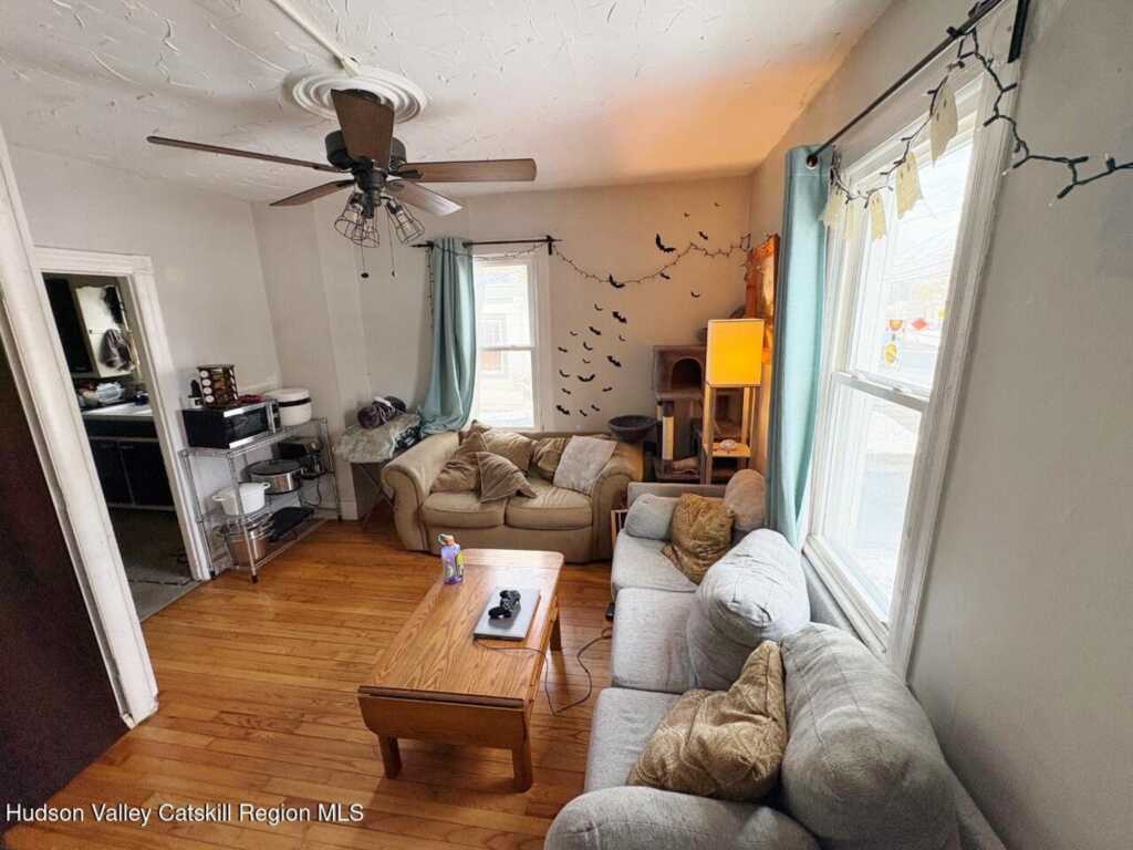 57 Chestnut Street, New Paltz, NY 12561 - Photo 10 of 21