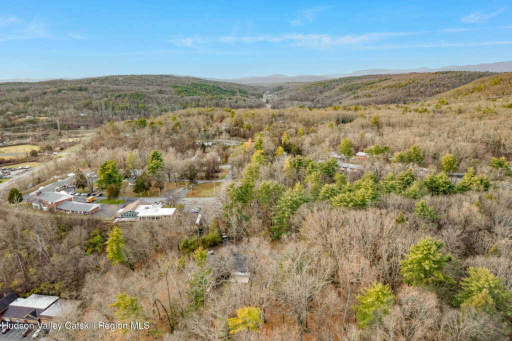 233 Forest Hill Drive, Kingston, NY 12401 - Photo 9 of 42