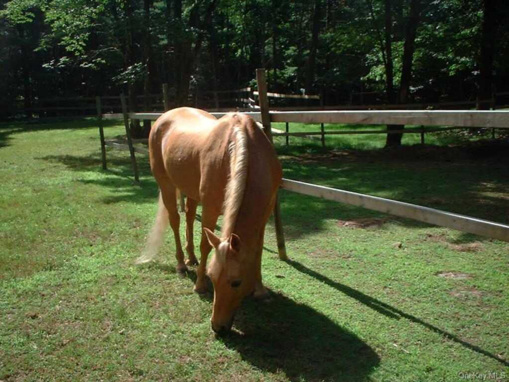 404 John Joy Road, Woodstock, NY 12498 - Photo 24 of 36