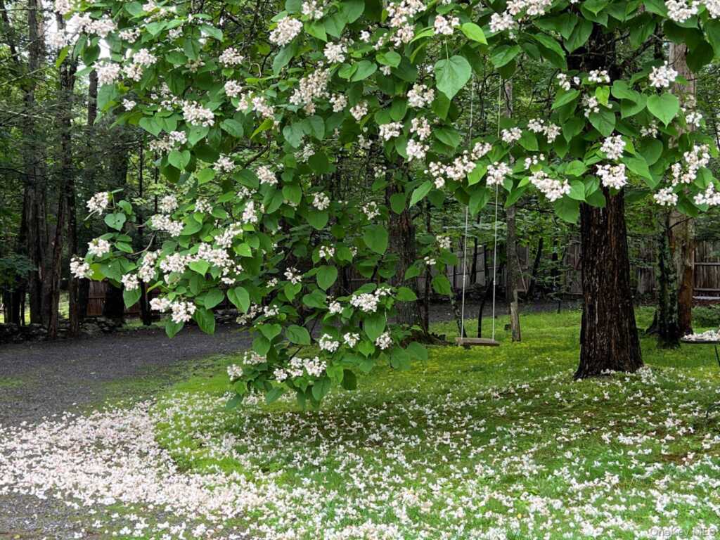 404 John Joy Road, Woodstock, NY 12498 - Photo 30 of 36