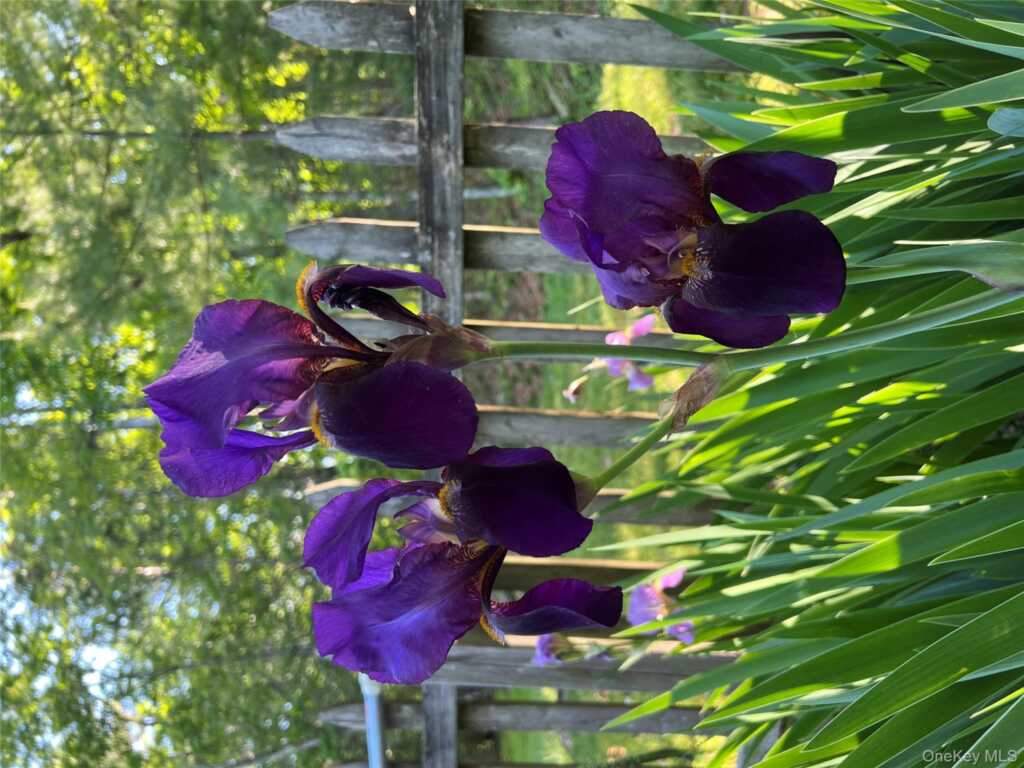 404 John Joy Road, Woodstock, NY 12498 - Photo 45 of 50