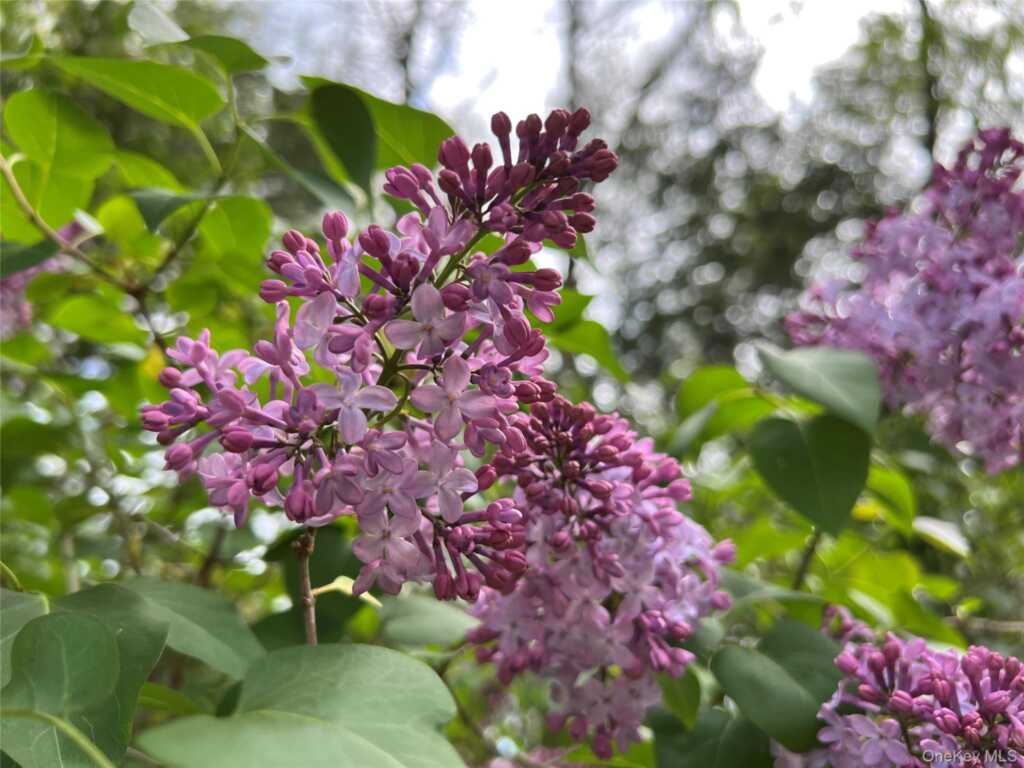 404 John Joy Road, Woodstock, NY 12498 - Photo 47 of 50