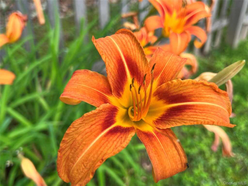 404 John Joy Road, Woodstock, NY 12498 - Photo 49 of 50