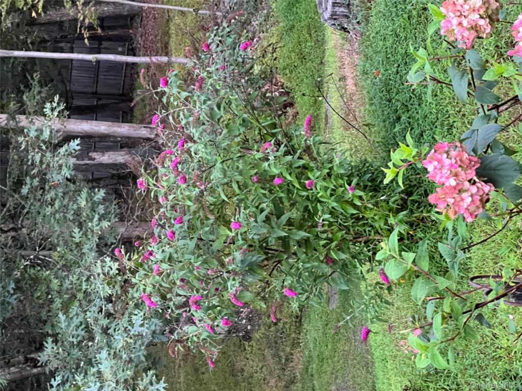 404 John Joy Road, Woodstock, NY 12498 - Photo 50 of 50