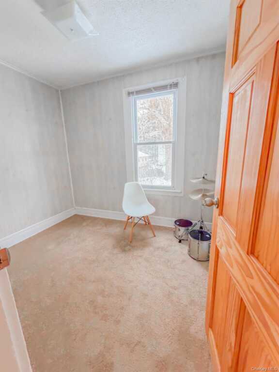 49 Gill Street, Kingston, NY 12401 - Photo 15 of 34