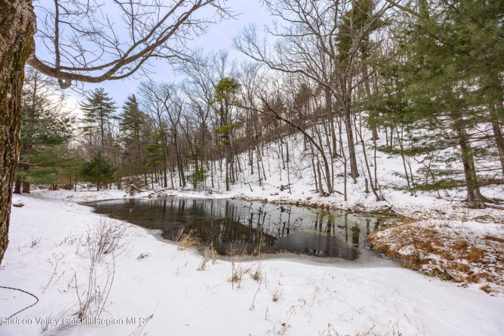 257 Saugerties Road, Woodstock, NY 12498 - Photo 19 of 29