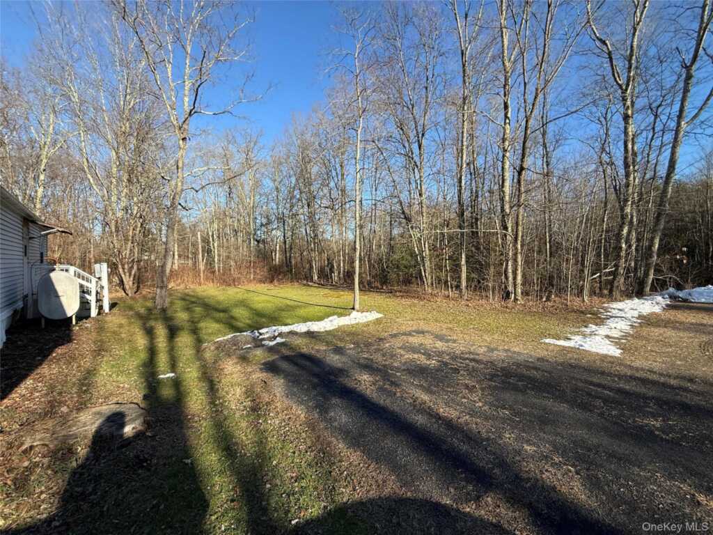 25 Fawn Road, Unit #Lot 1, Saugerties, NY 12477 - Photo 3 of 19