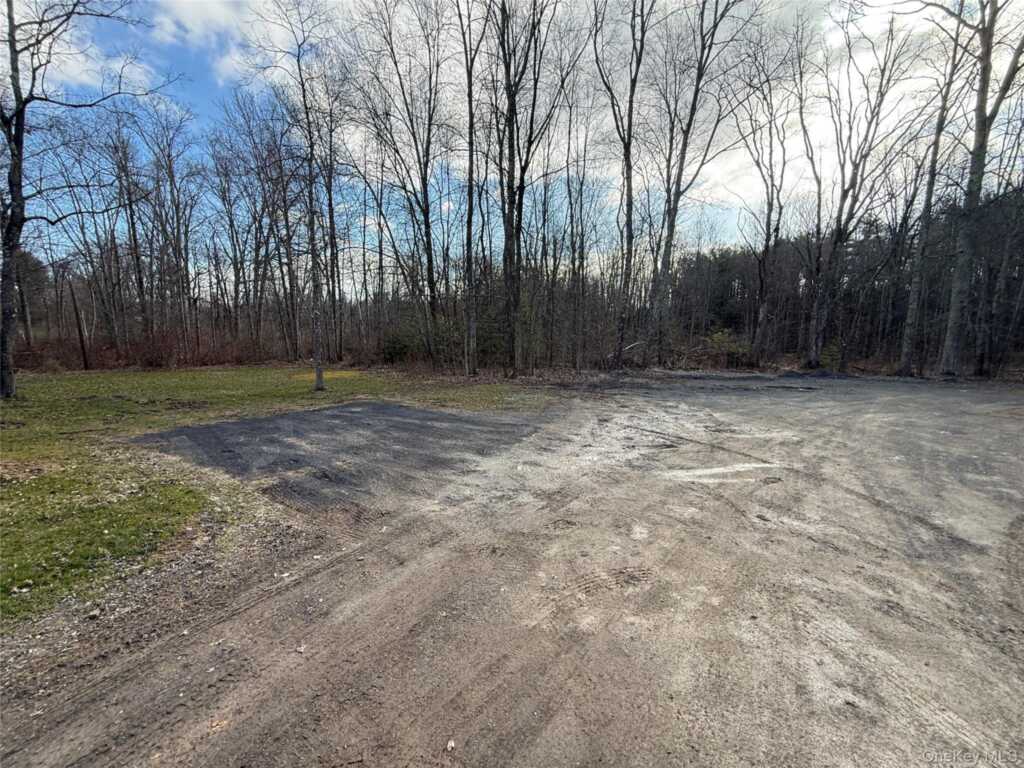 25 Fawn Road, Unit #Lot 1, Saugerties, NY 12477 - Photo 30 of 30