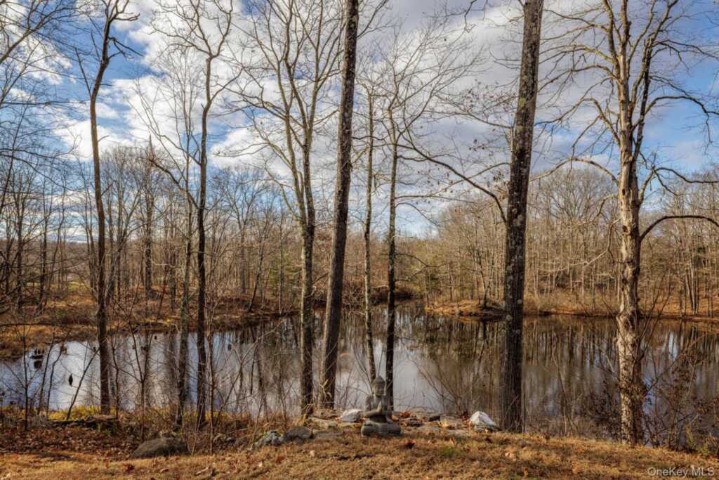 407 White Schoolhouse Road, Rhinebeck, NY 12572 - Photo 15 of 17