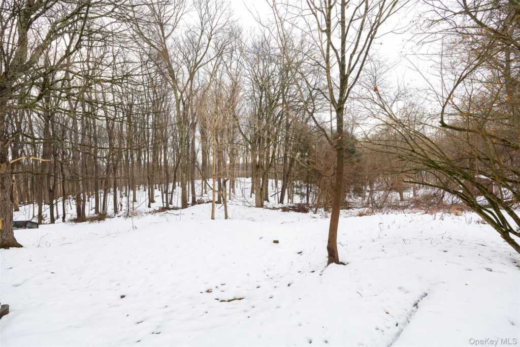 534-536 River Road, Rhinebeck, NY 12572 - Photo 33 of 37