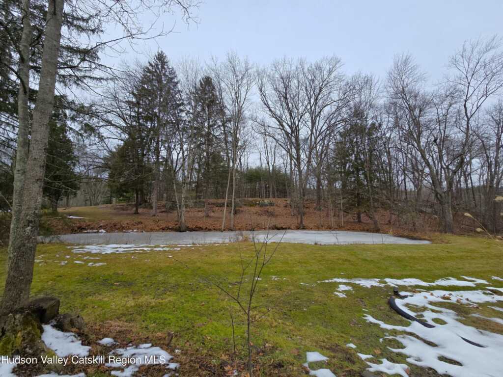 845 Lucas Avenue Extension, Hurley, NY 12443 - Photo 36 of 48