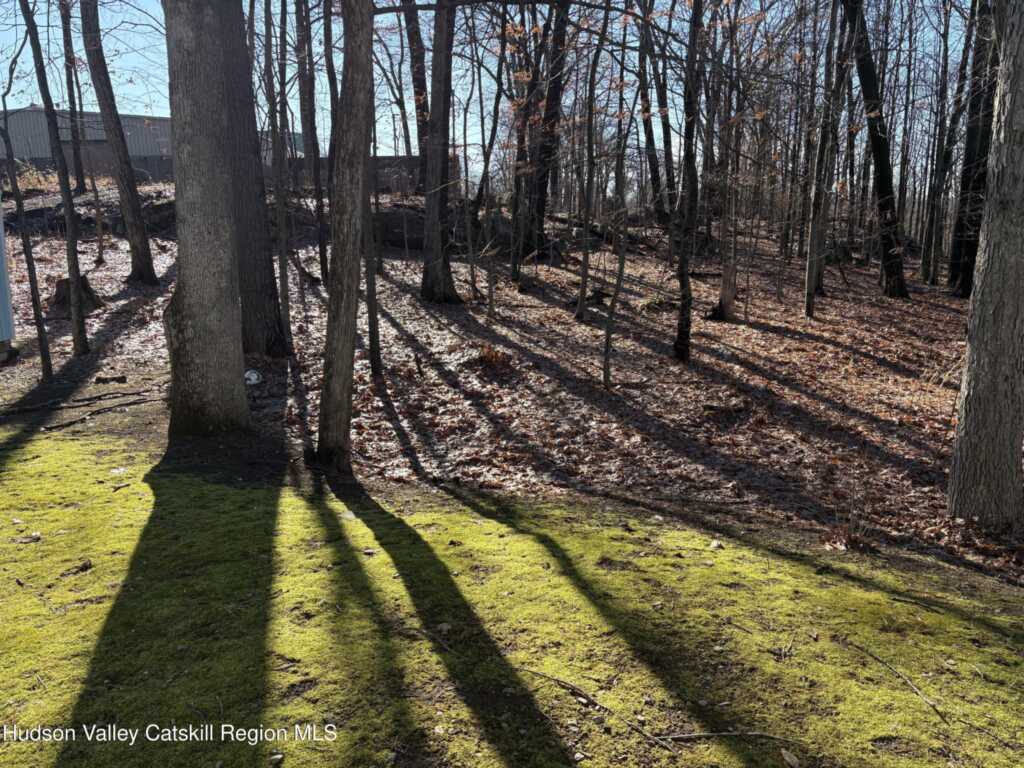 600 Chester Street, Unit #Lot 35, Kingston, NY 12401 - Photo 20 of 20