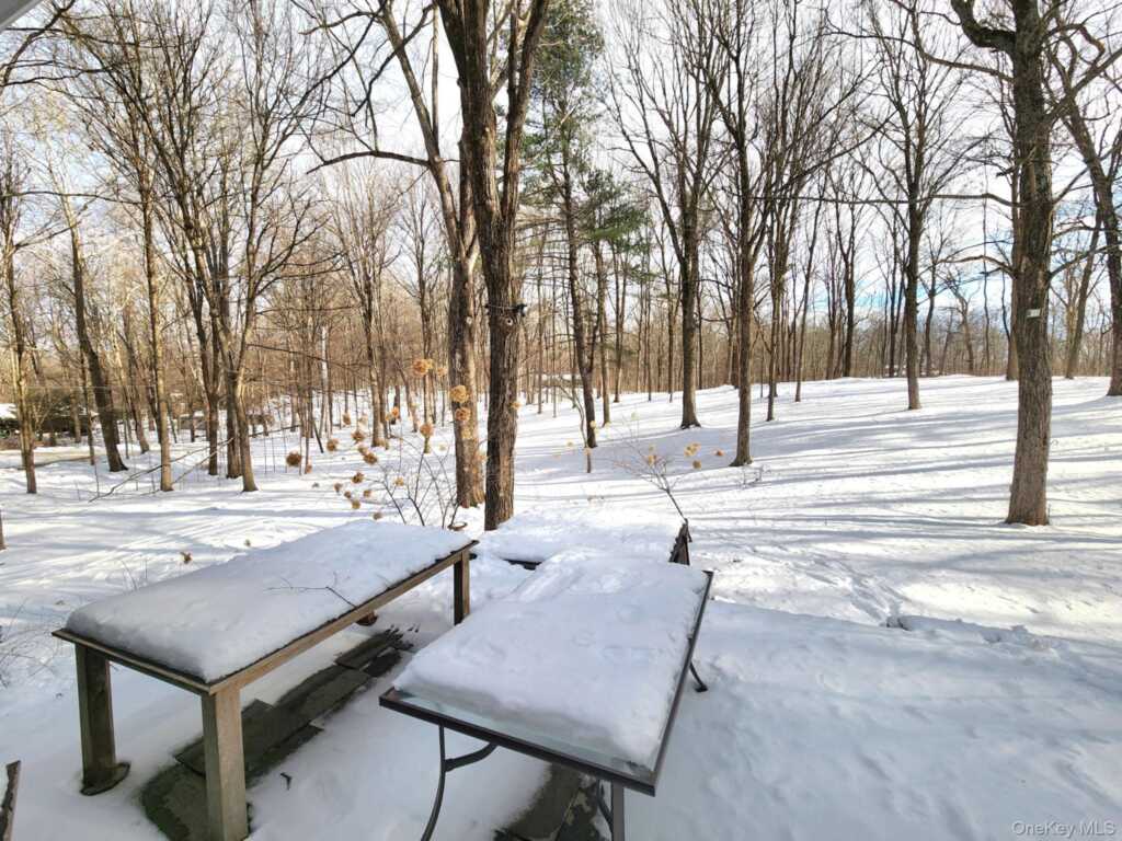 568 River Road, Rhinebeck, NY 12572 - Photo 26 of 26