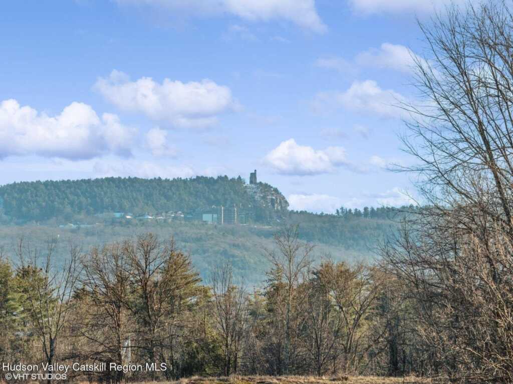 29 Rest Plaus Road, Stone Ridge, NY 12484 - Photo 3 of 44