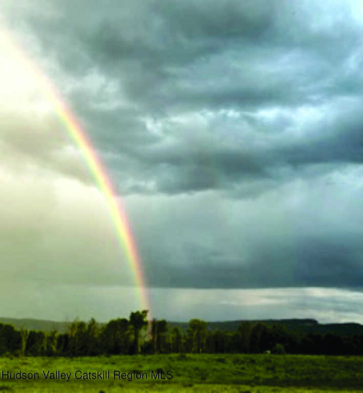 29 Rest Plaus Road, Stone Ridge, NY 12484 - Photo 4 of 44