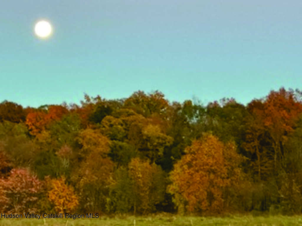 29 Rest Plaus Road, Stone Ridge, NY 12484 - Photo 41 of 44