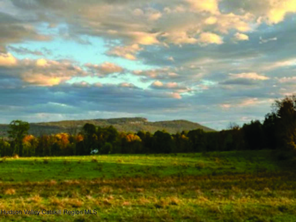 29 Rest Plaus Road, Stone Ridge, NY 12484 - Photo 43 of 44