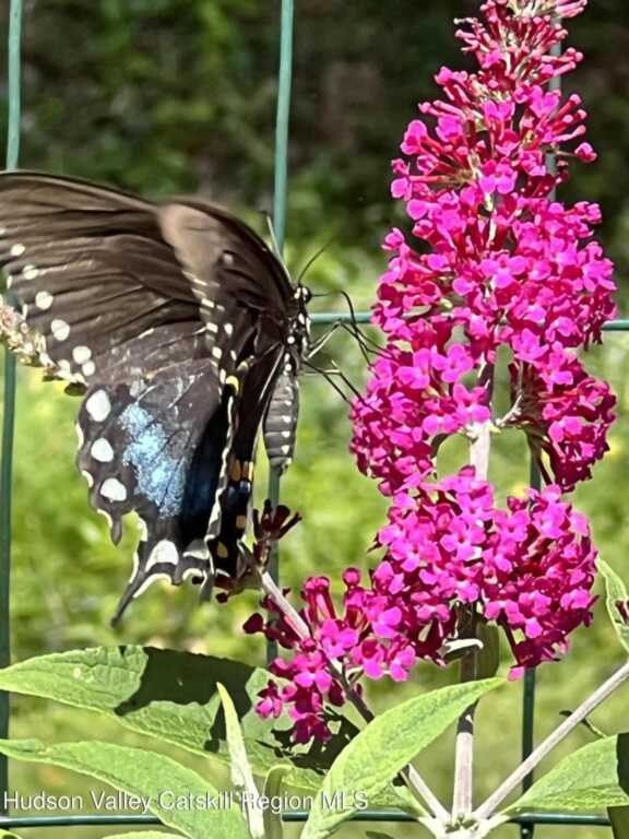 404 John Joy Road, Woodstock, NY 12498 - Photo 3 of 50