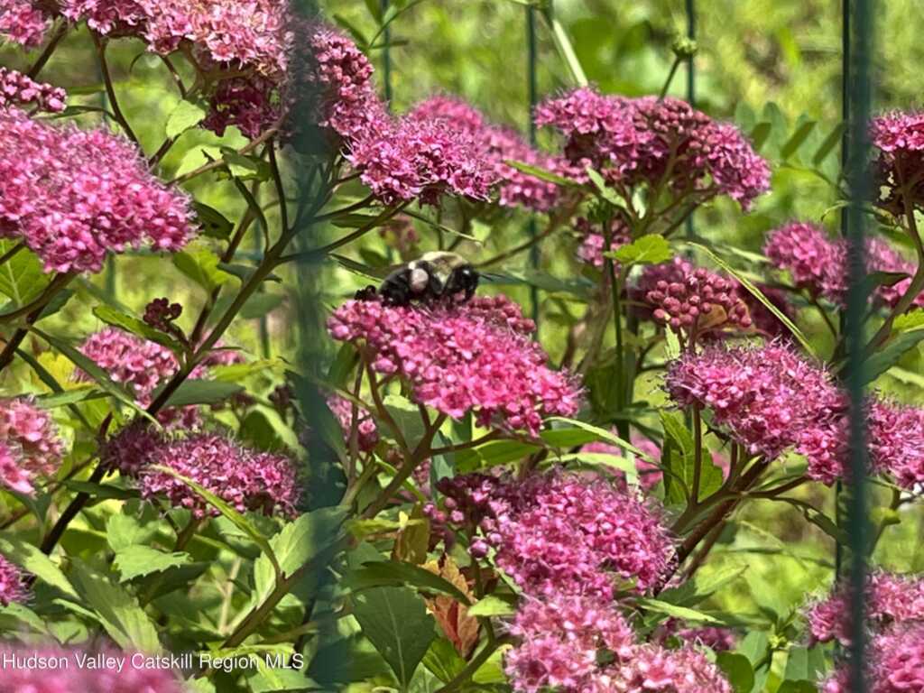 404 John Joy Road, Woodstock, NY 12498 - Photo 36 of 50