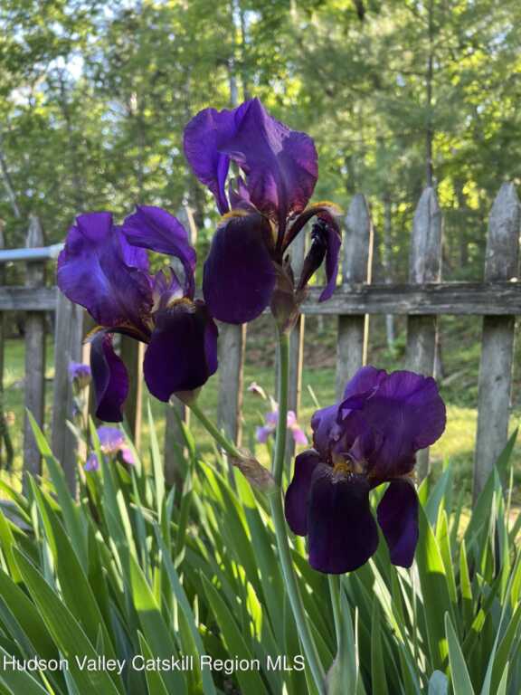 404 John Joy Road, Woodstock, NY 12498 - Photo 45 of 50