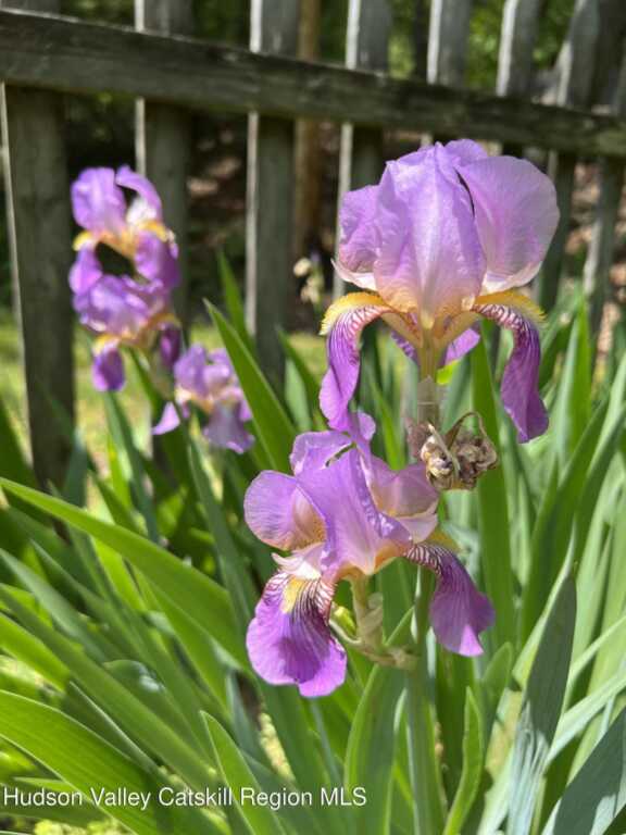 404 John Joy Road, Woodstock, NY 12498 - Photo 46 of 50