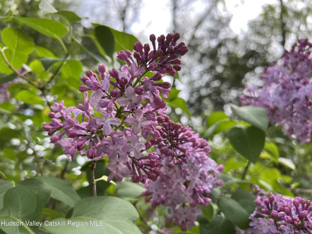 404 John Joy Road, Woodstock, NY 12498 - Photo 47 of 50