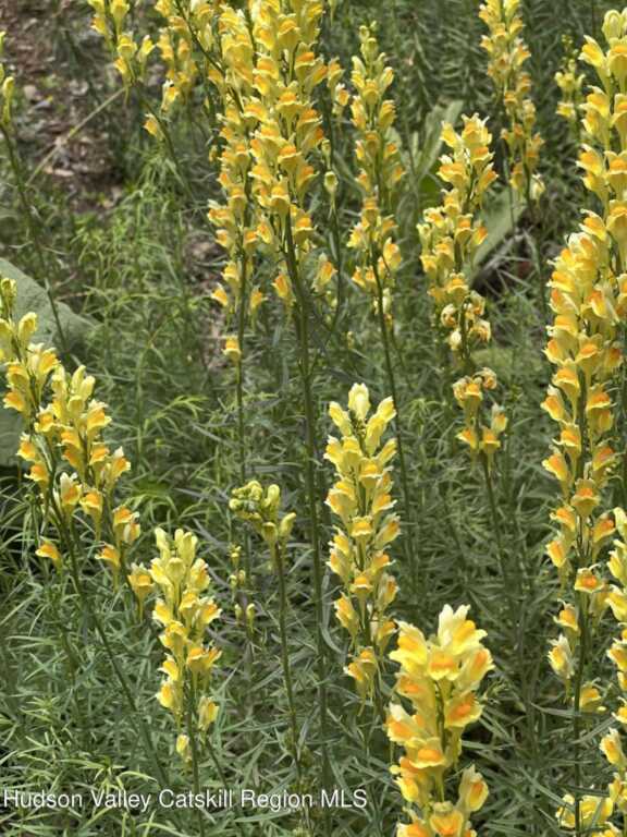 404 John Joy Road, Woodstock, NY 12498 - Photo 48 of 50