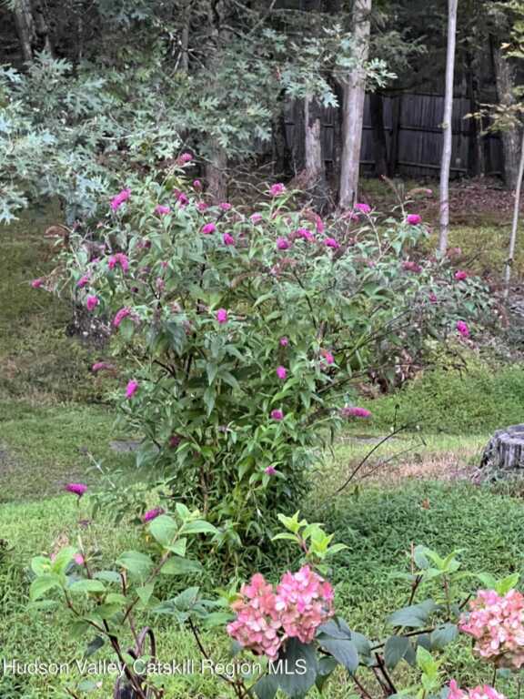 404 John Joy Road, Woodstock, NY 12498 - Photo 50 of 50