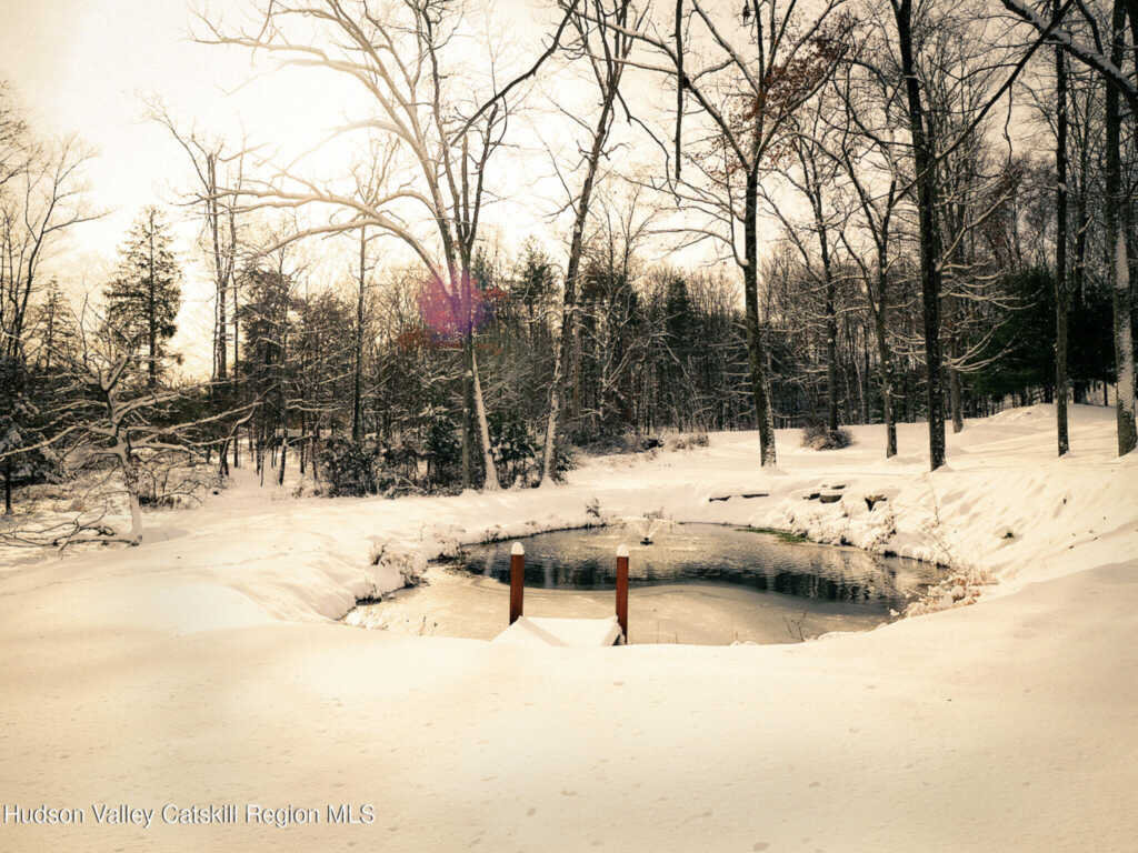 186 Vly Atwood Road, Stone Ridge, NY 12484 - Photo 50 of 50