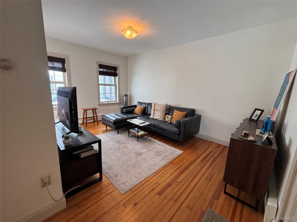 11 W Bridge Street, Unit #Rear, Saugerties, NY 12477 - Photo 12 of 42