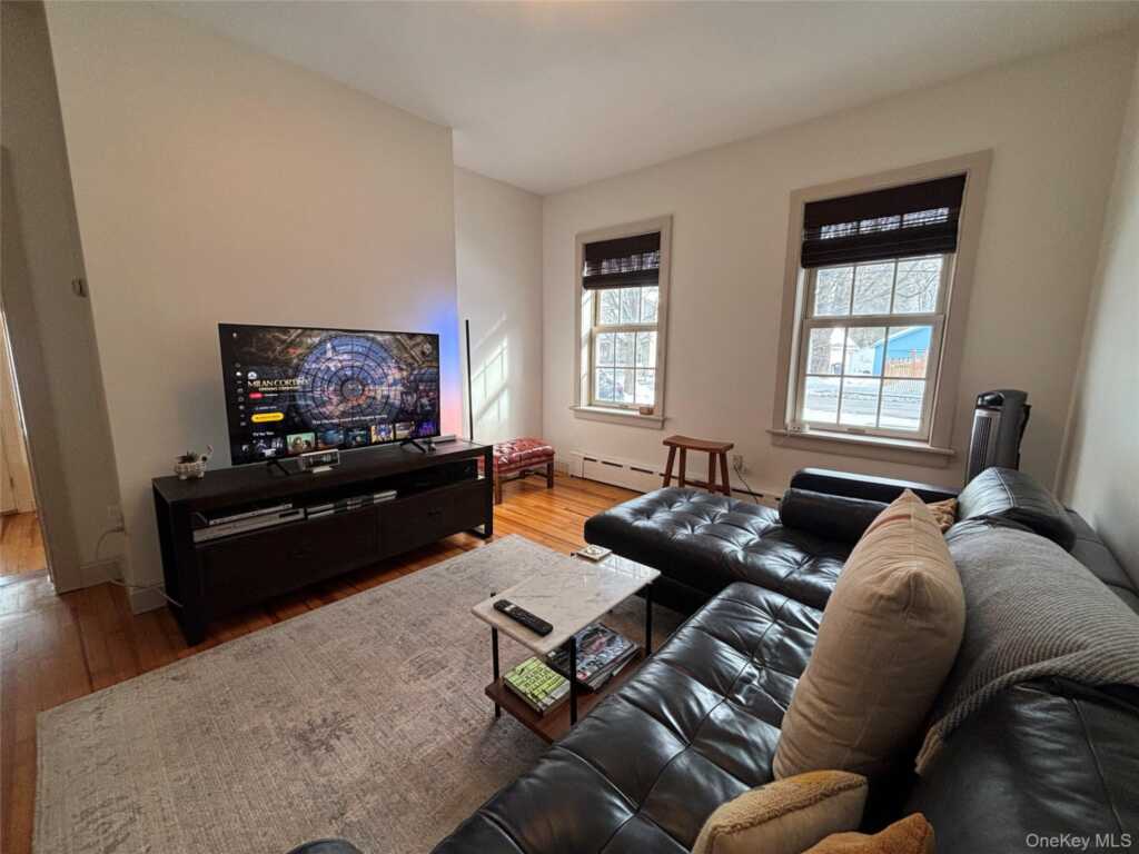 11 W Bridge Street, Unit #Rear, Saugerties, NY 12477 - Photo 14 of 42