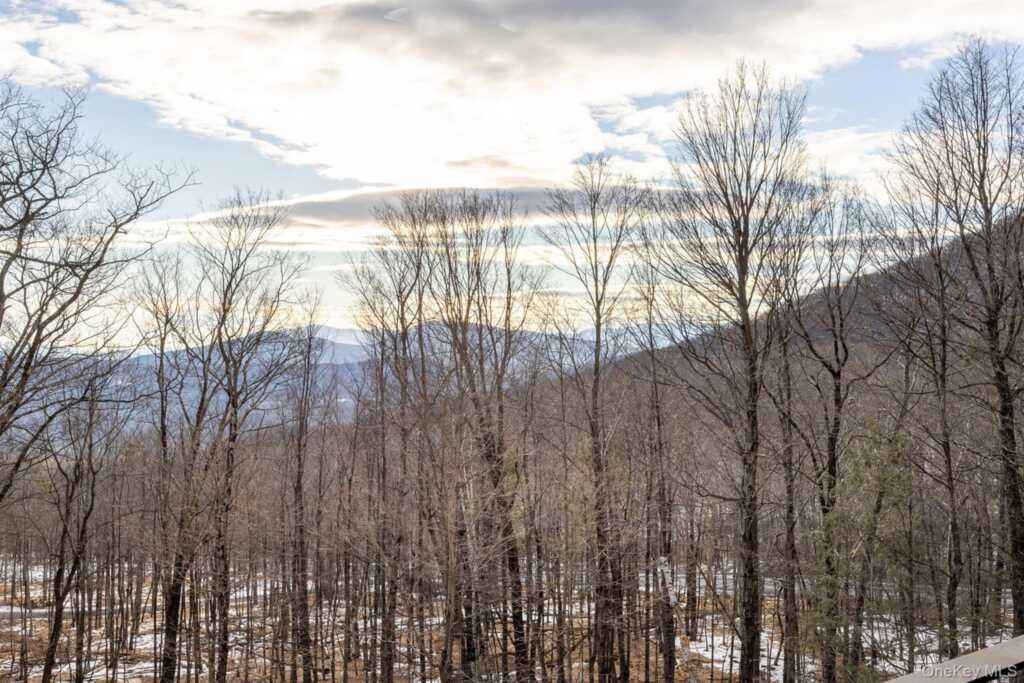 306 Meads Mountain Road, Woodstock, NY 12498 - Photo 4 of 49