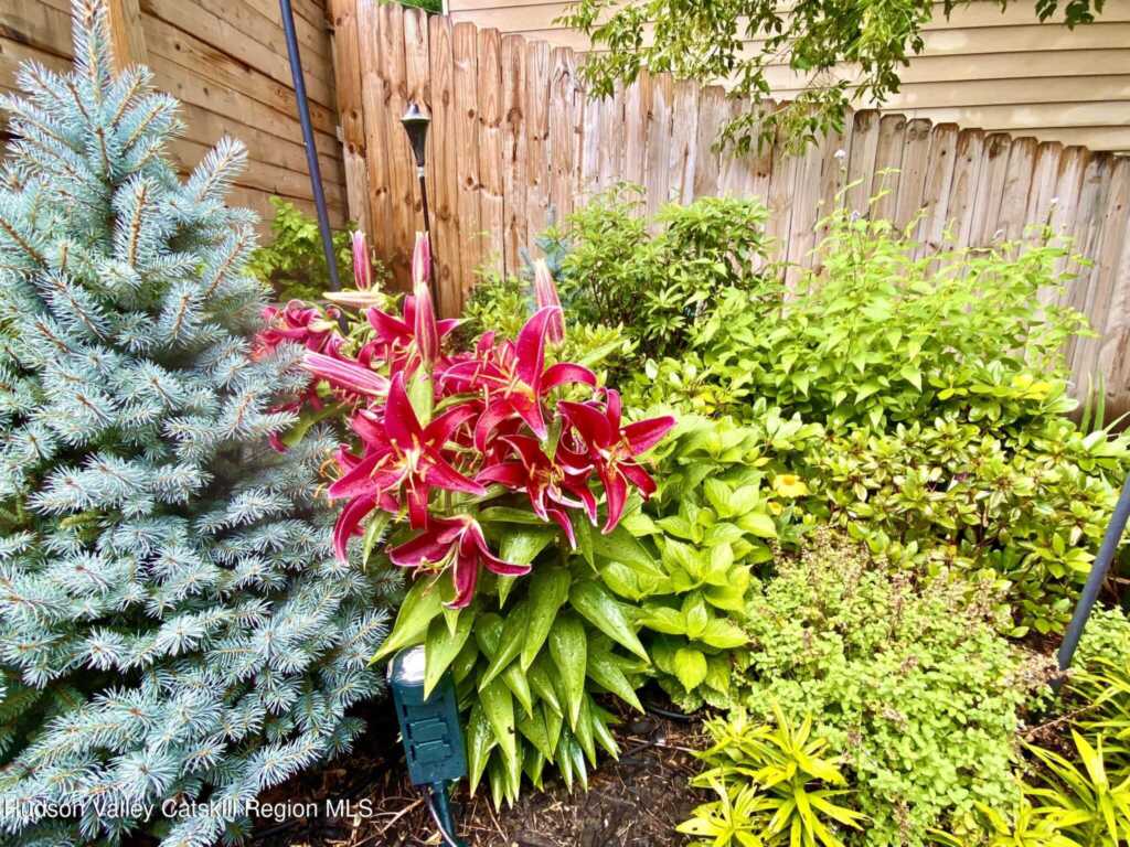 30 Sycamore Street, Kingston, NY 12401 - Photo 18 of 28