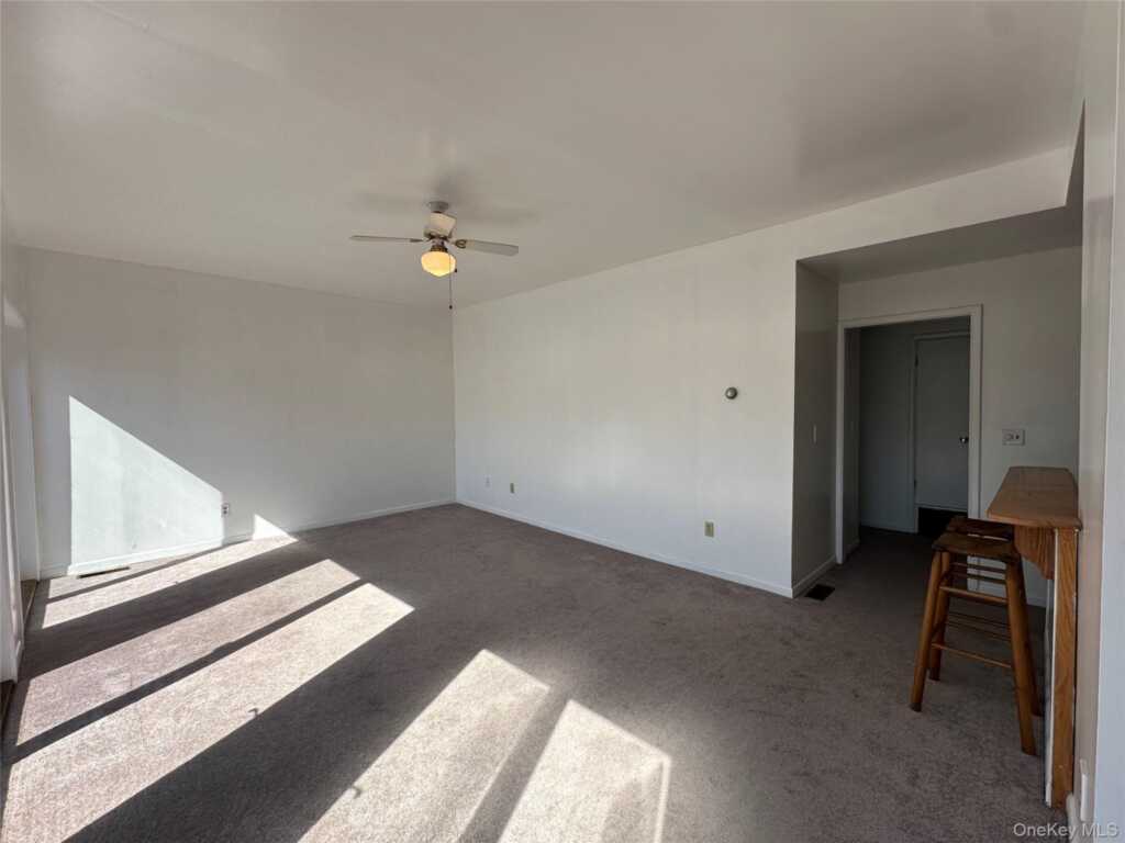 165 Ulster Avenue, Unit #8, Saugerties, NY 12477 - Photo 21 of 29