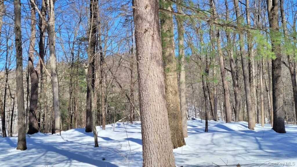 94 Hill Top Road, Rhinebeck, NY 12572 - Photo 27 of 28