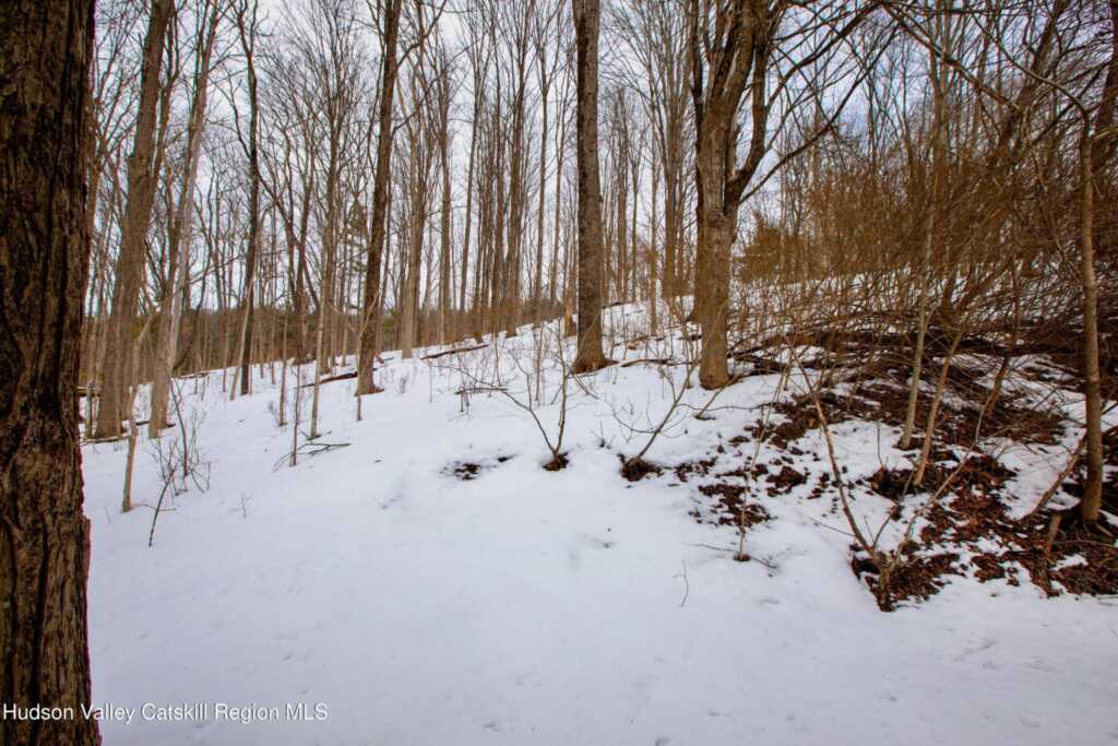 1046 Cow Hough Road, New Paltz, NY 12561 - Photo 36 of 37