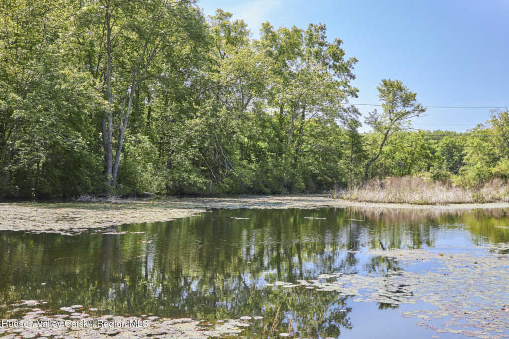 203 Silver Lake Road, Rhinebeck, NY 12572 - Photo 45 of 46