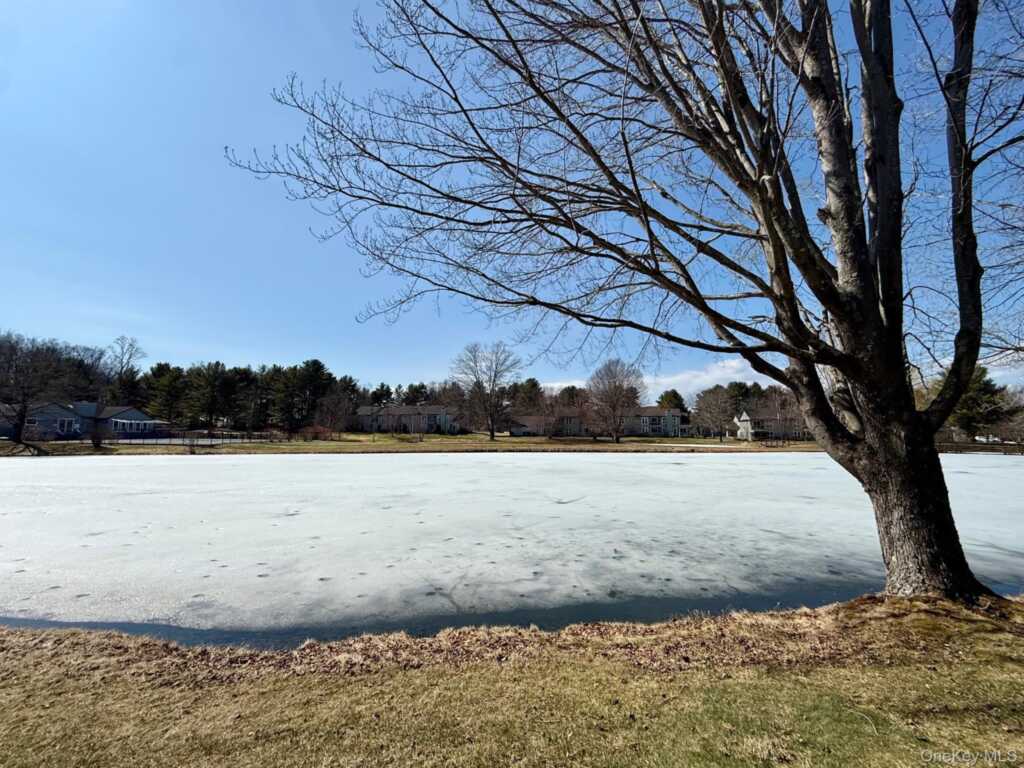 14 Pond Drive, Rhinebeck, NY 12572 - Photo 18 of 24