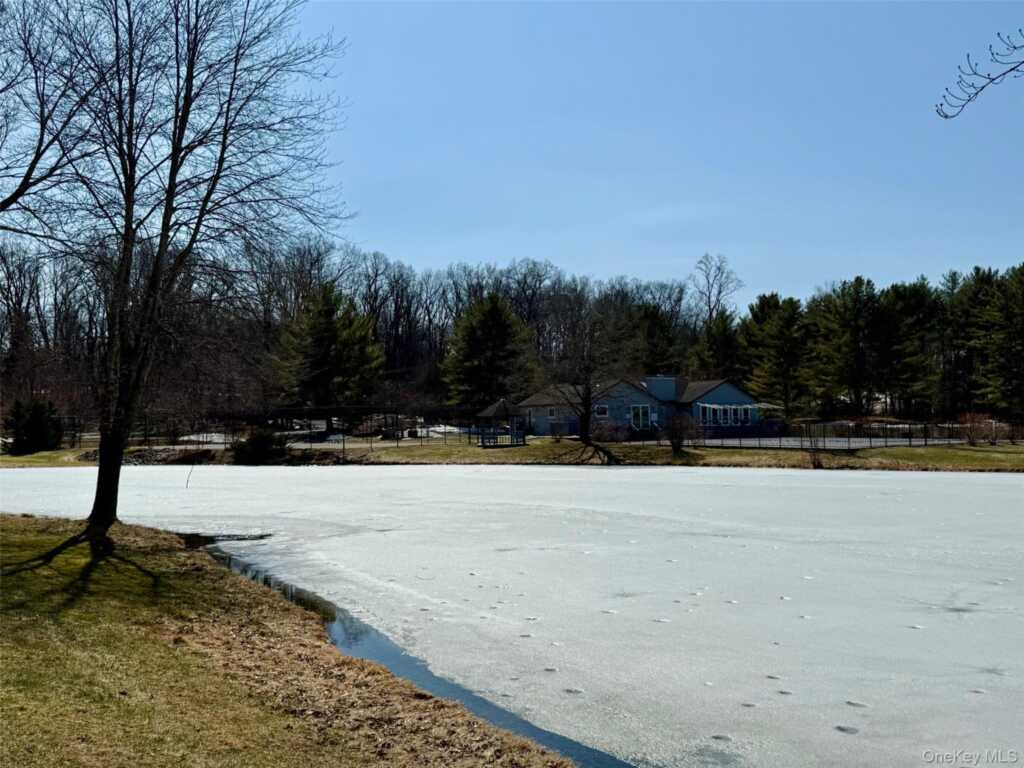 14 Pond Drive, Rhinebeck, NY 12572 - Photo 19 of 24