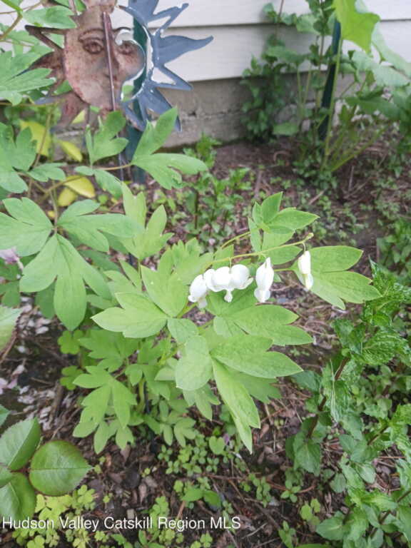 542 Lake View Terrace, Kingston, NY 12401 - Photo 5 of 16