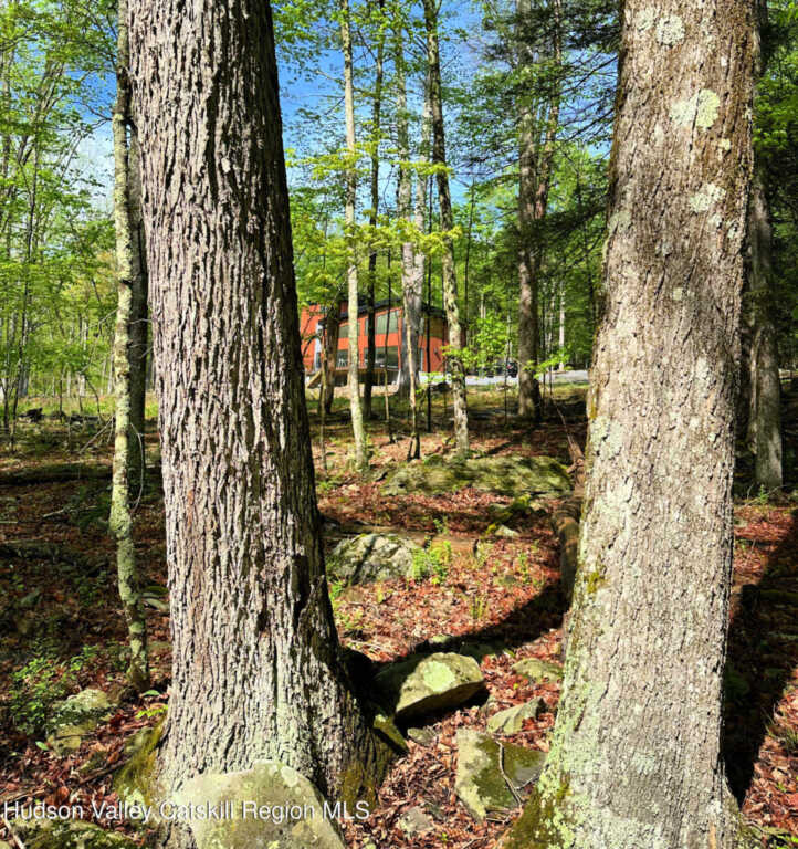 30 Narrow Road, Kingston, NY 12401 - Photo 32 of 34