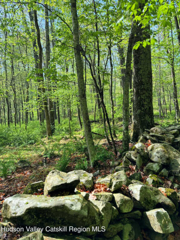 30 Narrow Road, Kingston, NY 12401 - Photo 33 of 34