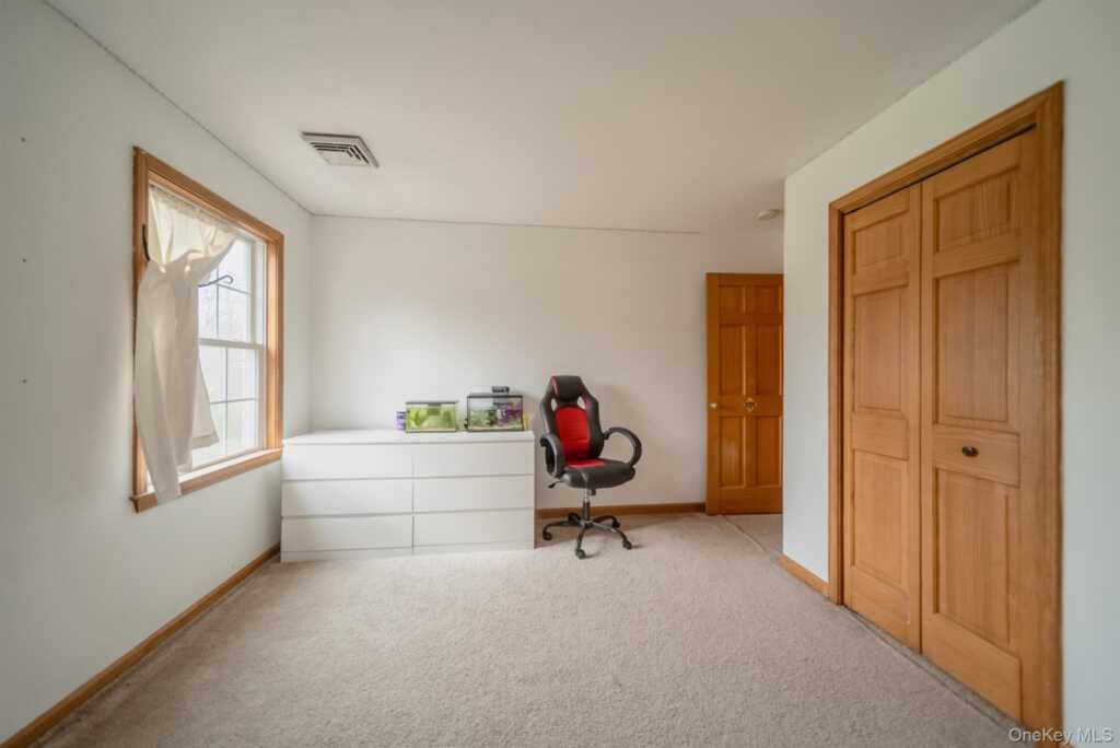 226 Blue Mountain Road, Saugerties, NY 12477 - Photo 28 of 45