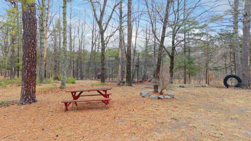 226 Blue Mountain Road, Saugerties, NY 12477 - Photo 36 of 45