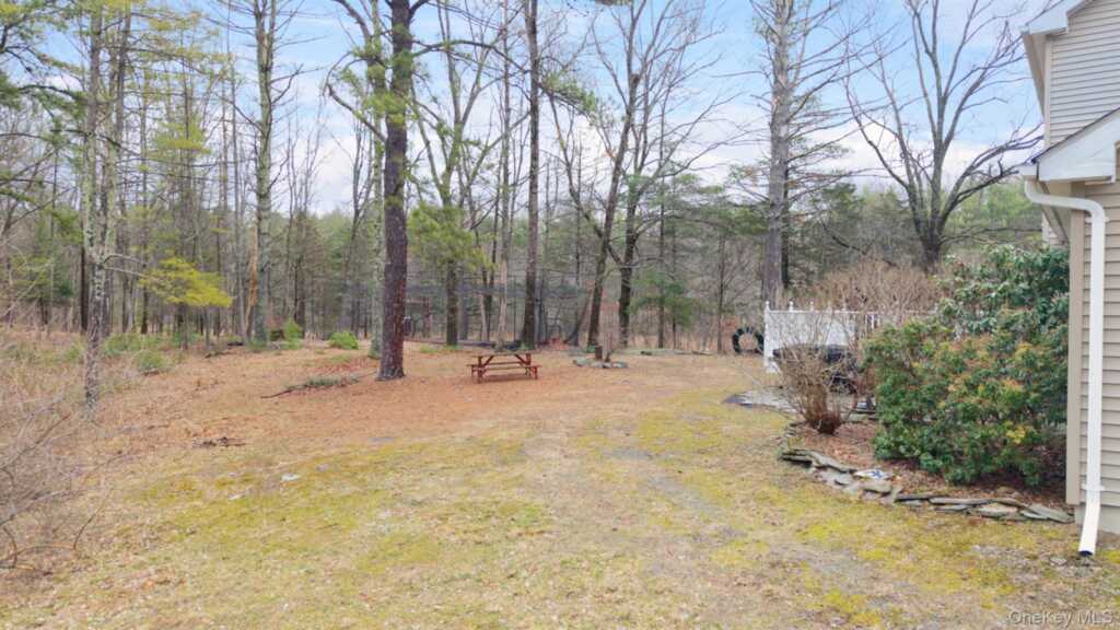 226 Blue Mountain Road, Saugerties, NY 12477 - Photo 38 of 45