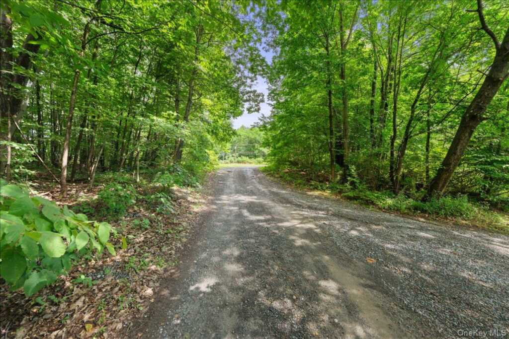 0 Beckrick Drive, Rhinebeck, NY 12572 - Photo 4 of 6