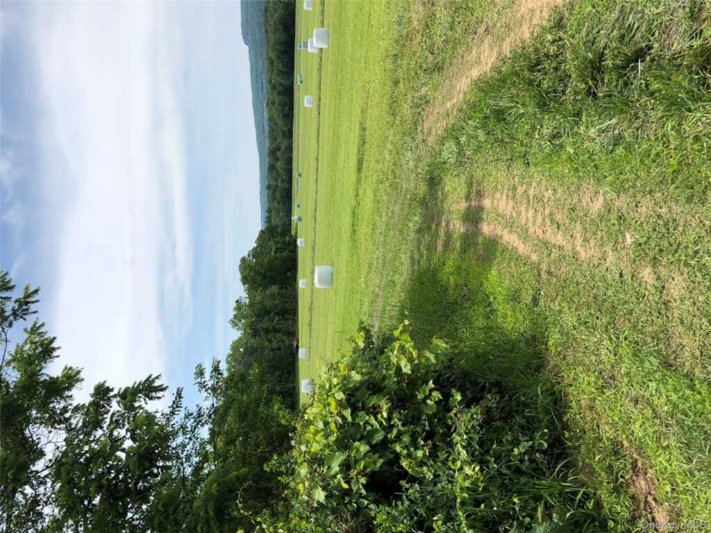 181 Huguenot Street, New Paltz, NY 12561 - Photo 21 of 40