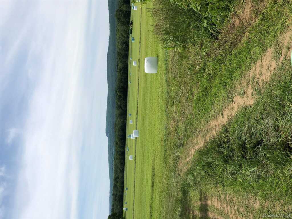 181 Huguenot Street, New Paltz, NY 12561 - Photo 23 of 40